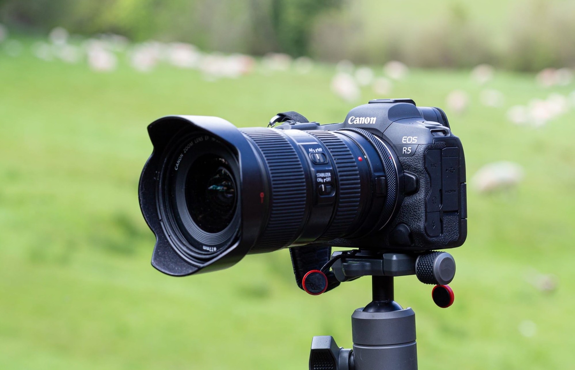 canon-camera-quiz