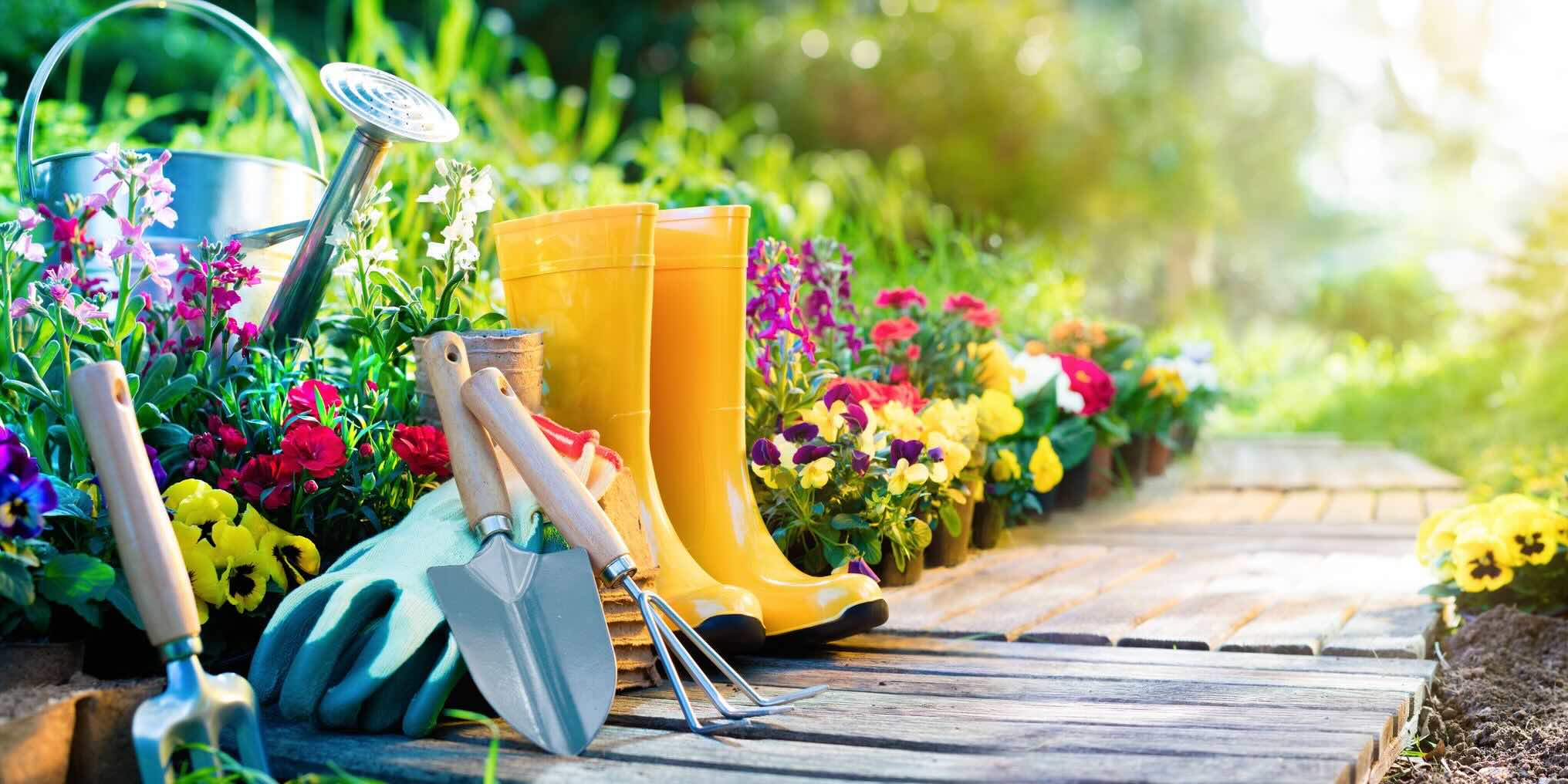 gardening-quiz