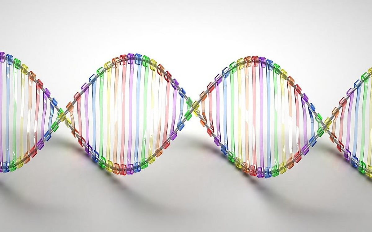 genetic-isolation-quiz