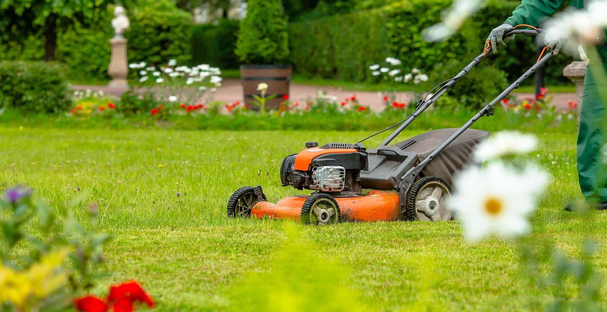 lawn-care-quiz