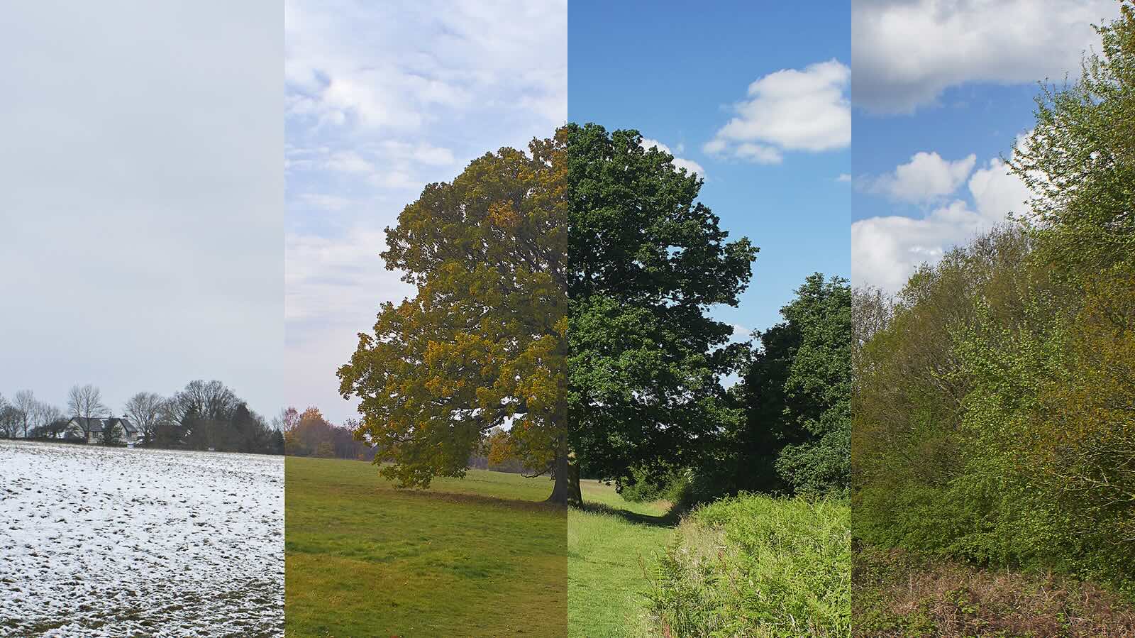 seasons-quiz