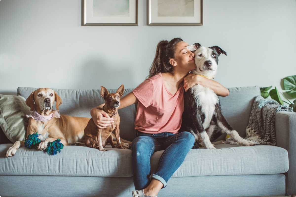 should-i-get-a-dog-quiz
