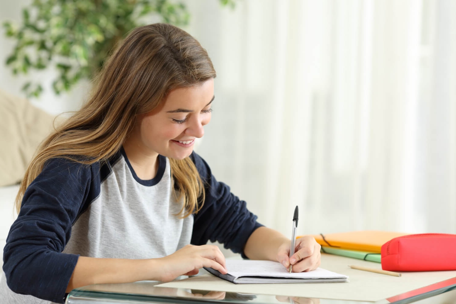study-quiz