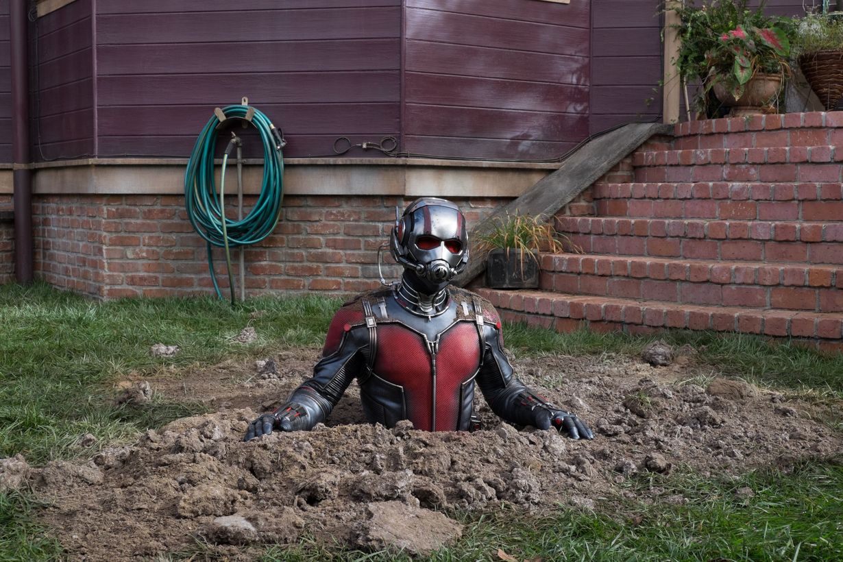ant-man-quiz