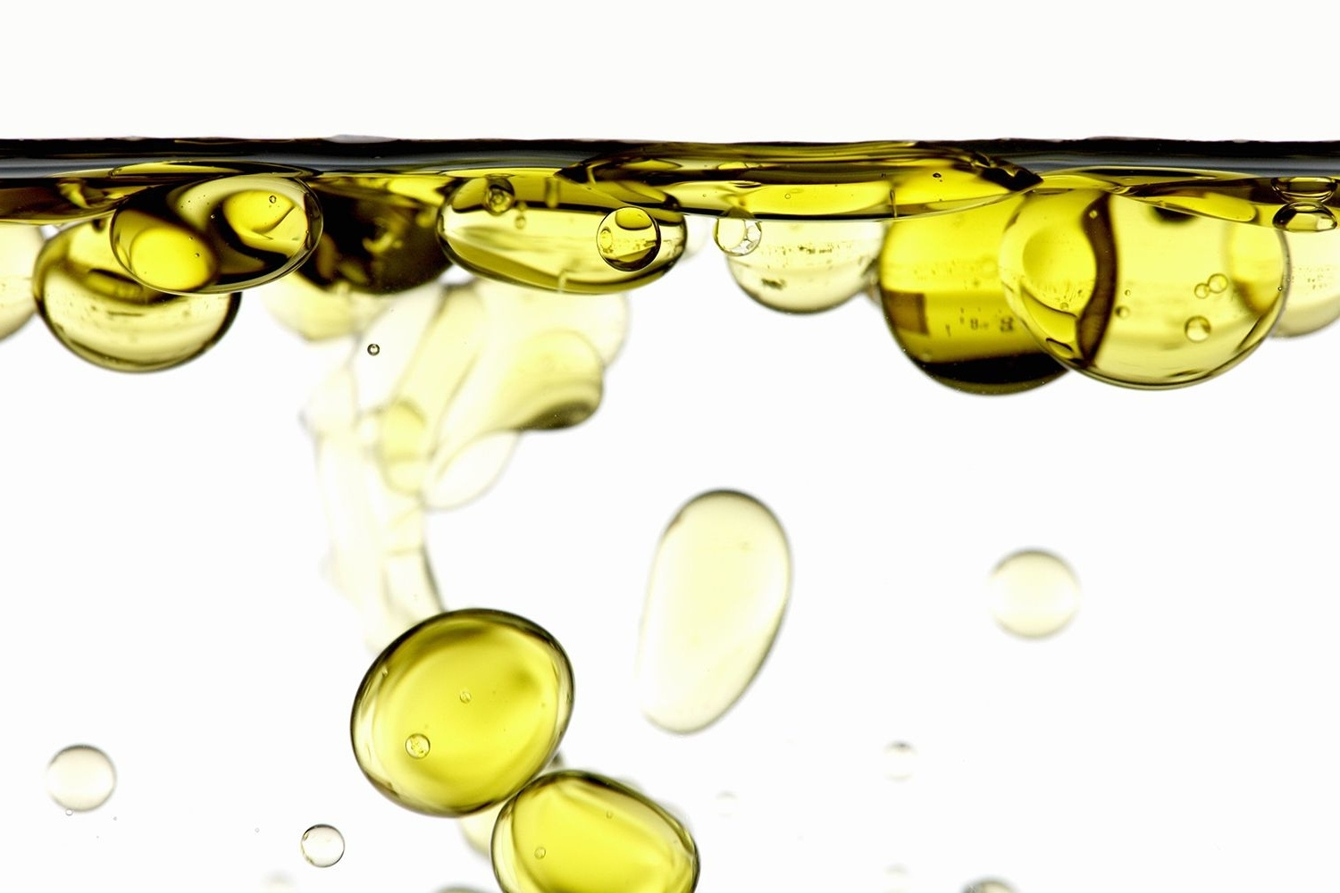 hydrophobic-substances-quiz
