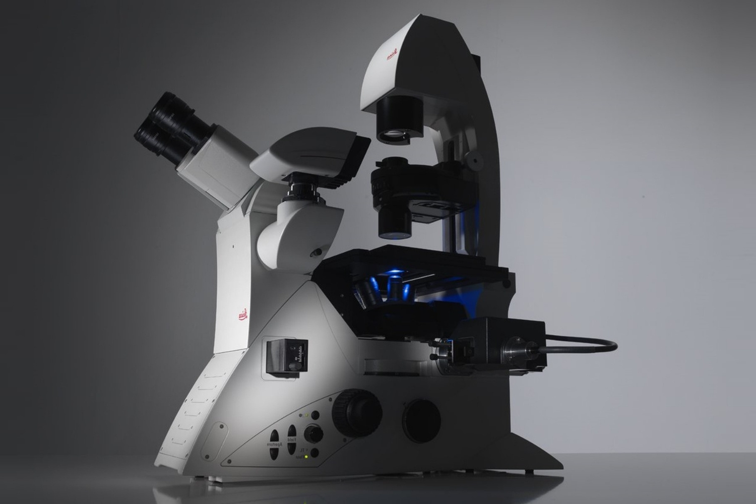 microscope-quiz