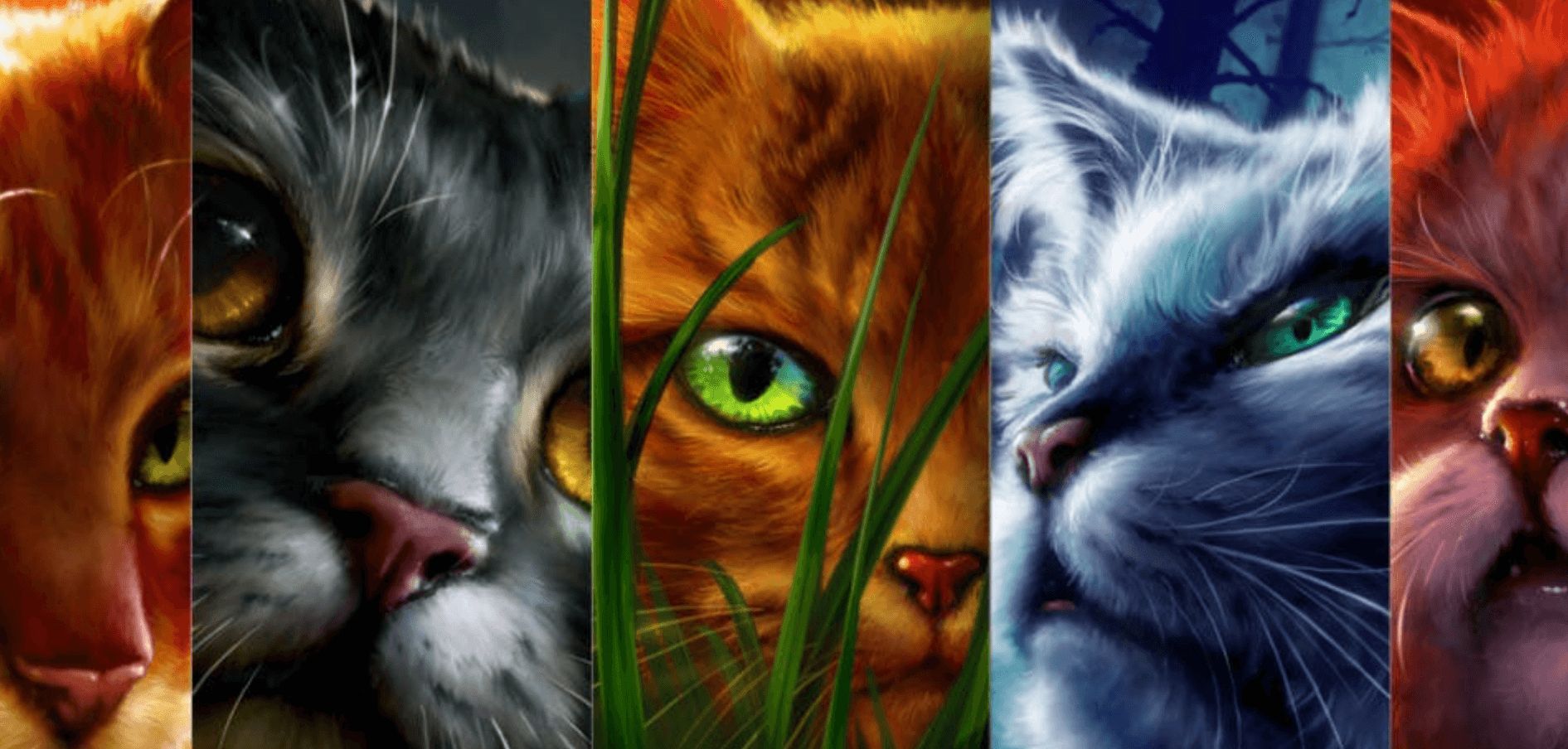 warrior-cat-name-quiz